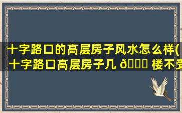 十字路口的高层房子风水怎么样(十字路口高层房子几 🐒 楼不受风水影响)
